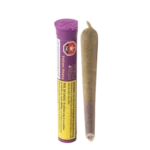 Falcon 9 • Pre-Roll
