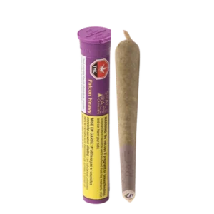 Falcon 9 • Pre-Roll