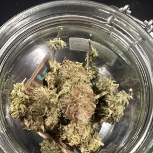 zkittlez gorilla glue shake for sale, buy zkittlez gorilla glue cannabis shake, zkittlez gorilla glue thc shake, zkittlez gorilla glue trim shake online, zkittlez gorilla glue vape shake, zkittlez gorilla glue infusion shake, zkittlez gorilla glue dessert shake