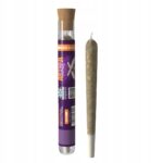 Amnesia Haze • Pre-Roll