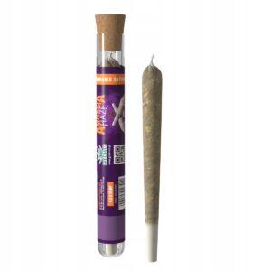 Amnesia Haze • Pre-Roll