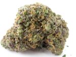 zoy strain for sale, buy zoy cannabis, zoy thc flower online, zoy thca cart, order zoy hybrid strain, zoy indica‑dominant hybrid, zoy vape cartridge