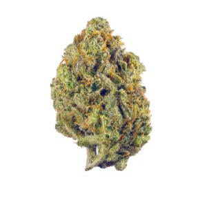 super lemon haze strain, super lemon haze weed strain, super lemon haze strain effects, strain super lemon haze, super lemon haze strain review, super lemon haze strain cartridge, super lemon haze strain seeds