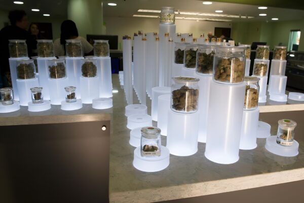 skywalker shake for sale, buy skywalker cannabis shake, skywalker thc shake bundle, skywalker trim shake online, skywalker vape shake mix, skywalker infusion shake, skywalker indica shake
