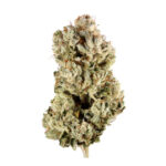 gorilla glue 4 strain, gorilla glue #4 strain, gorilla glue number 4 strain, gorilla glue 4 weed strain, gorilla glue #4 strain grow info, gorilla glue #4 strain allbud, gorilla glue #4 strain indica or sativa
