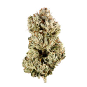 gorilla glue 4 strain, gorilla glue #4 strain, gorilla glue number 4 strain, gorilla glue 4 weed strain, gorilla glue #4 strain grow info, gorilla glue #4 strain allbud, gorilla glue #4 strain indica or sativa