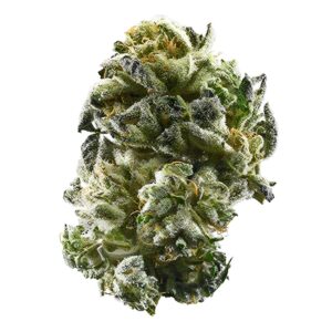 girl scout cookies strain for sale, buy girl scout cookies cannabis, girl scout cookies thc flower online, girl scout cookies thca cart, order girl scout cookies hybrid strain, girl scout cookies indica‑dominant hybrid, girl scout cookies vape cartridge