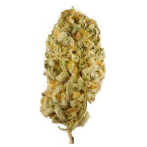 jack herer strain, strain jack herer, jack herer weed strain, jack herer strain plant, jack herer strain vape, jack herer strain seeds, jack herer marijuana strain