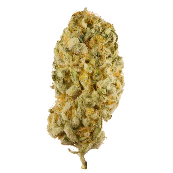 jack herer strain, strain jack herer, jack herer weed strain, jack herer strain plant, jack herer strain vape, jack herer strain seeds, jack herer marijuana strain