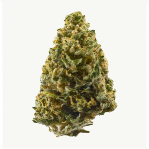 northern lights strain for sale, buy northern lights cannabis, northern lights thc flower online, northern lights thca cart, order northern lights indica strain, northern lights pure indica, northern lights vape cartridge