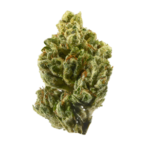 og kush strain, og kush weed, og kush seeds, og kush dispensary, og kush strain indica, skywalker og kush strain, fire og kush strain