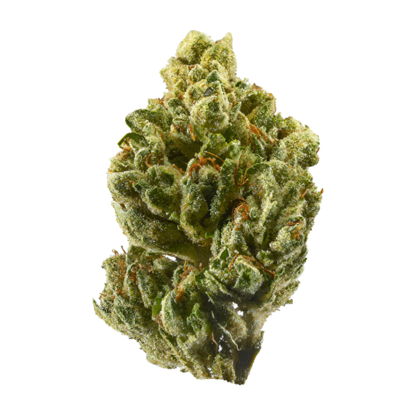 og kush strain, og kush weed, og kush seeds, og kush dispensary, og kush strain indica, skywalker og kush strain, fire og kush strain