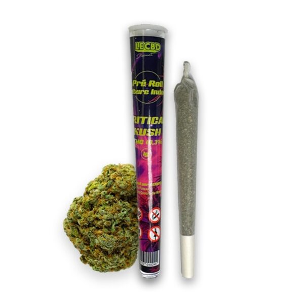 Critical Kush • Pre-Roll