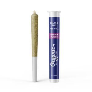 Purple Punch Pre-Roll