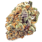 mimosa strain, mimosa weed strain, watermelon mimosa strain, mimosa kush mints strain, mimosa strain effects, mimosa strain seeds, mimosa strain review