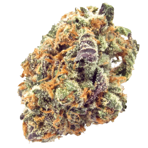 mimosa strain, mimosa weed strain, watermelon mimosa strain, mimosa kush mints strain, mimosa strain effects, mimosa strain seeds, mimosa strain review
