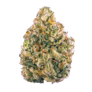 hollywood strain, hollywood strain cookies, cookies hollywood strain, hollywood cookies strain, hollywood og strain, hollywood weed strain, hollywood runtz strain