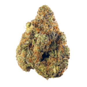 stardawg strain, bubba stardawg strain, stardawg guava strain, stardawg strain effects, stardawg weed strain, stardawg x northern lights strain, stardawg strain indica or sativa