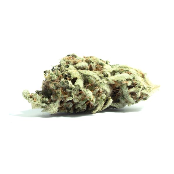 rainbow sherbet strain, rainbow sherbet 11 strain, rainbow sherbet weed strain, rainbow sherbet #11 strain, rainbow sherbet marijuana strain, rainbow sherbet 54 strain, biscotti x rainbow sherbet strain