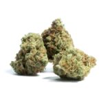 amnesia haze strain, amnesia haze strain allbud, strain amnesia haze, amnesia haze weed strain, amnesia haze strain effects, amnesia haze strain review, amnesia haze strain seeds