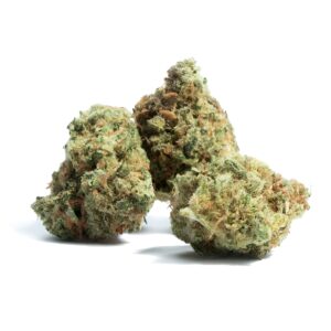 amnesia haze strain, amnesia haze strain allbud, strain amnesia haze, amnesia haze weed strain, amnesia haze strain effects, amnesia haze strain review, amnesia haze strain seeds
