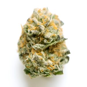 scottie pippen strain, scotty pippen strain, scottie pippen weed strain, scottie pippen strain allbud, scottie pippen 33 strain, scottie pippen marijuana strain, scottie pippen og strain