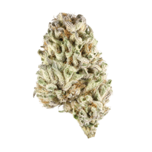 garfuel strain for sale, buy garfuel cannabis, garfuel thc flower online, garfuel thca cart, order garfuel hybrid strain, garfuel indica‑sativa hybrid, garfuel vape cartridge