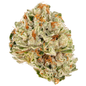 wazabi strain, wazabi weed strain, wazabi strain tenco, wazabi tenco strain, wazabi strain review