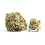 cherry gelato strain for sale, buy cherry gelato cannabis, cherry gelato thc flower online, cherry gelato thca cart, order cherry gelato hybrid strain, cherry gelato slightly sativa hybrid, cherry gelato vape cartridge