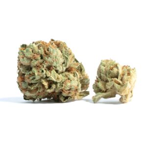 cherry gelato strain for sale, buy cherry gelato cannabis, cherry gelato thc flower online, cherry gelato thca cart, order cherry gelato hybrid strain, cherry gelato slightly sativa hybrid, cherry gelato vape cartridge