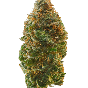 kosher kush strain for sale, buy kosher kush cannabis, kosher kush thc flower online, kosher kush thca cart, order kosher kush indica strain, kosher kush pure indica, kosher kush vape cartridge