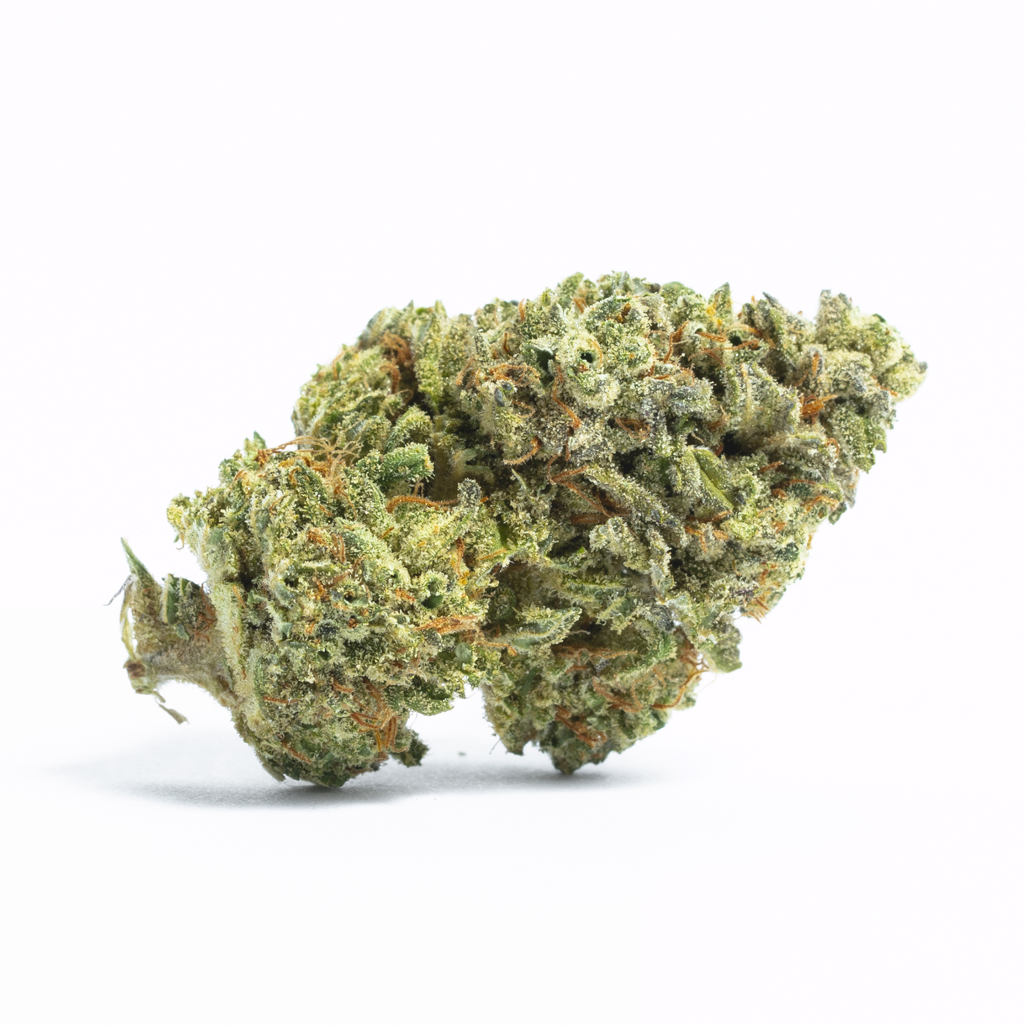 london pound cake strain, london pound cake weed strain, london pound cake 75 strain, london pound cake strain effects, what strain is london pound cake, london pound cake strain genetics, london pound cake marijuana strain