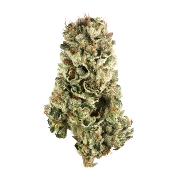 LSD Shake