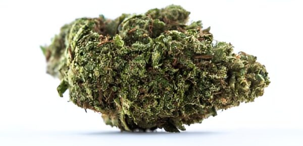 lemonchello 10 strain for sale, buy lemonchello 10 cannabis, lemonchello 10 thc flower online, lemonchello 10 thca cart, order lemonchello 10 hybrid strain, lemonchello 10 sativa‑dominant strain, lemonchello 10 vape cartridge