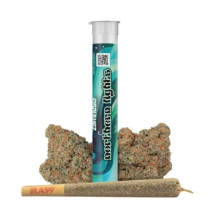  Northern Lights • Pre-Roll